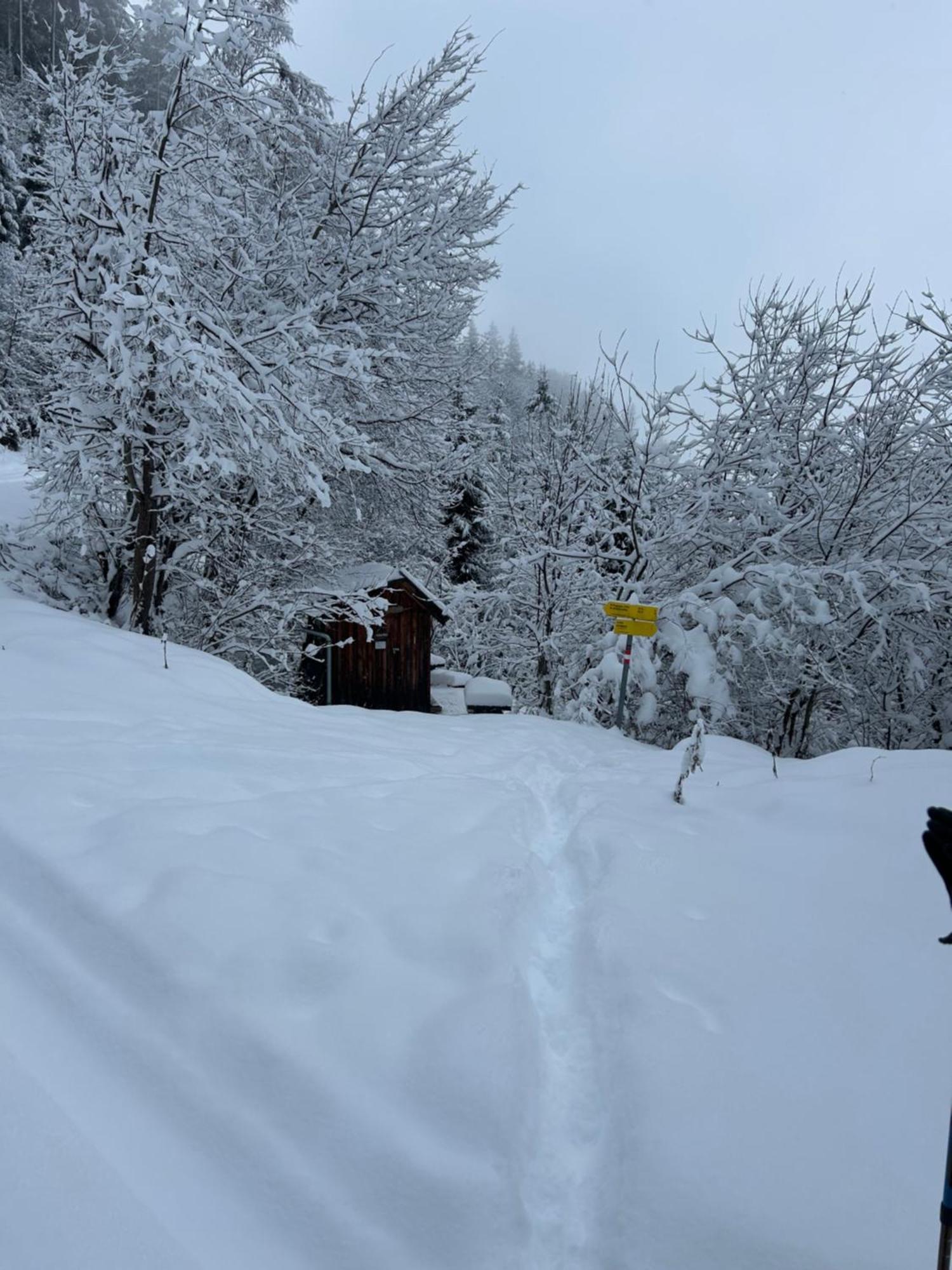 Apartamento Haus Laubreuter Kaprun Exterior foto